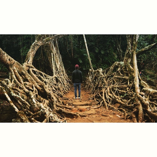 Photo of Inspiration that gave me the courage to backpack alone for 6 months in India 6/21 by Simon R Samuel