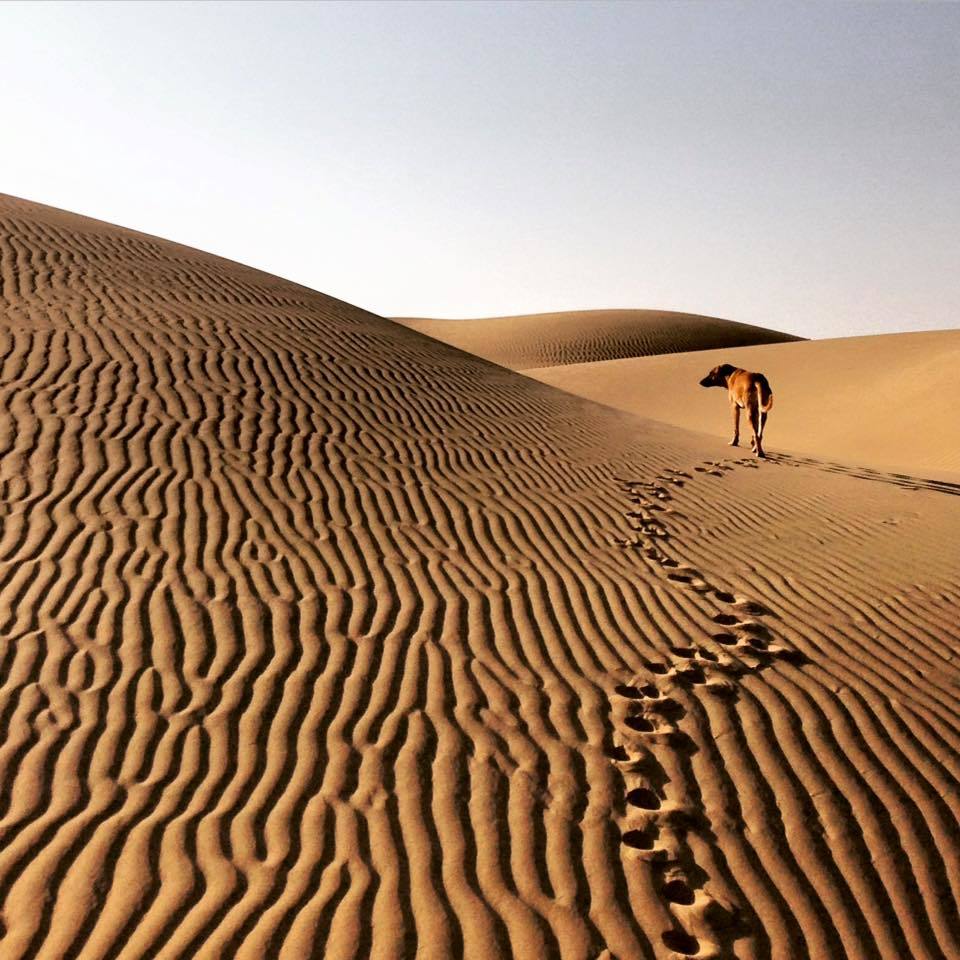 Photo of My incredible 6months Indian backpacking adventure 27/61 by Simon R Samuel