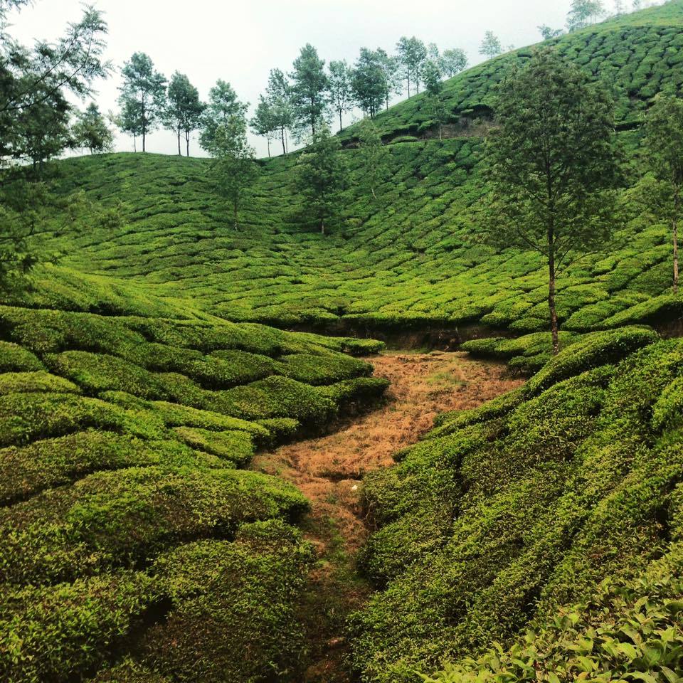 Photo of My incredible 6months Indian backpacking adventure 2/61 by Simon R Samuel