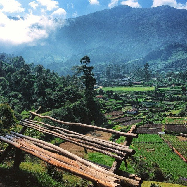 Photo of How I managed to quit my job and follow my dreams of backpacking the whole of India 34/36 by Simon R Samuel