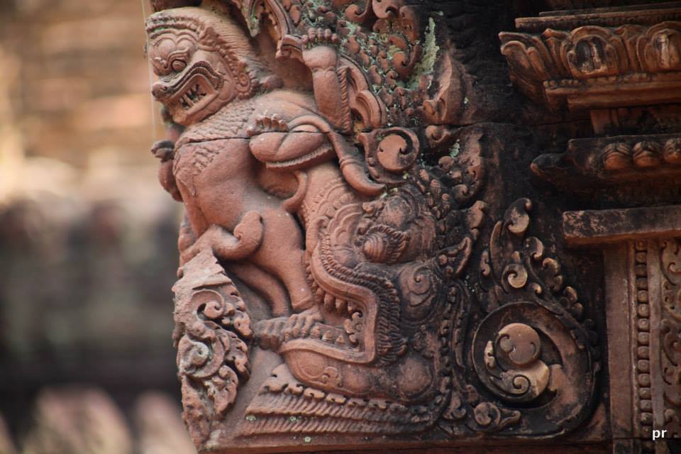 Photo of Cambodia - Temples , forests and introspection 14/20 by Pinaki Ray