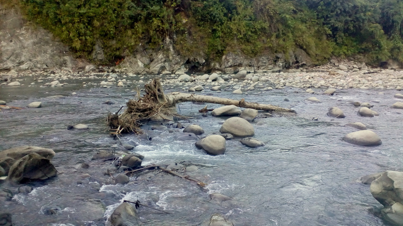 Photo of A one day car ride to Likabali, Arunachal Pradesh. 3/6 by Trisha Saikia