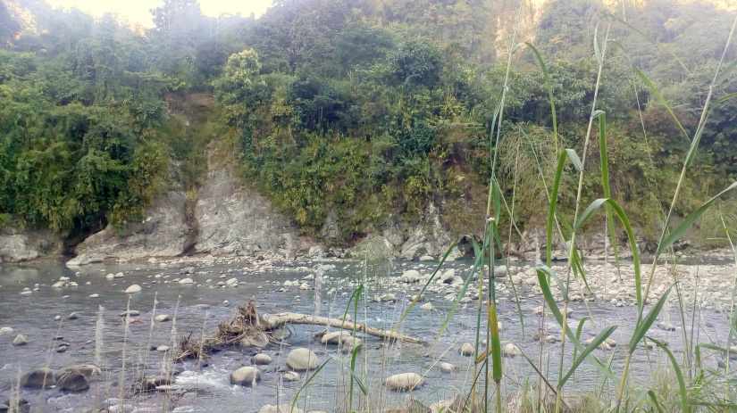 Photo of A one day car ride to Likabali, Arunachal Pradesh. 4/6 by Trisha Saikia
