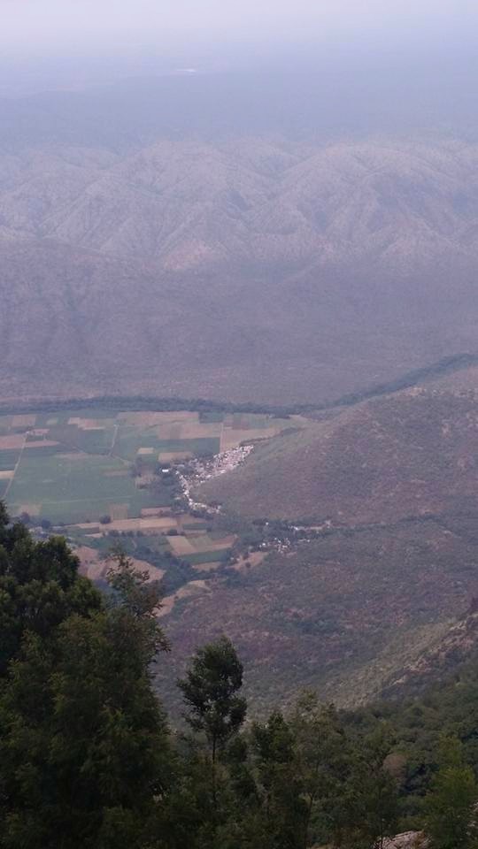 Photo of Romancing the Nilgiris – Southern Sojourn! 2/14 by Arthi