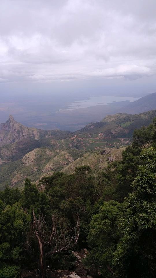 Photo of Romancing the Nilgiris – Southern Sojourn! 1/14 by Arthi