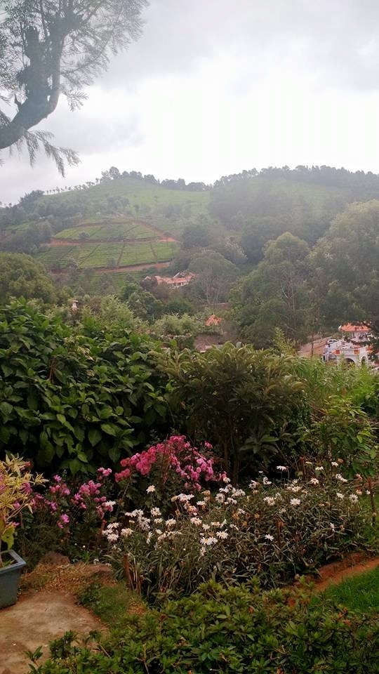 Photo of Romancing the Nilgiris – Southern Sojourn! 8/14 by Arthi