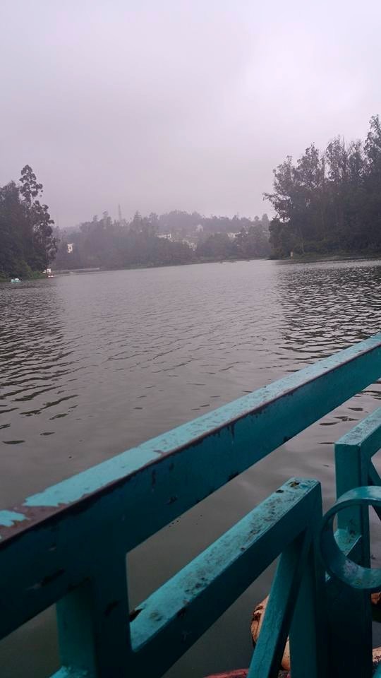 Photo of Romancing the Nilgiris – Southern Sojourn! 4/14 by Arthi