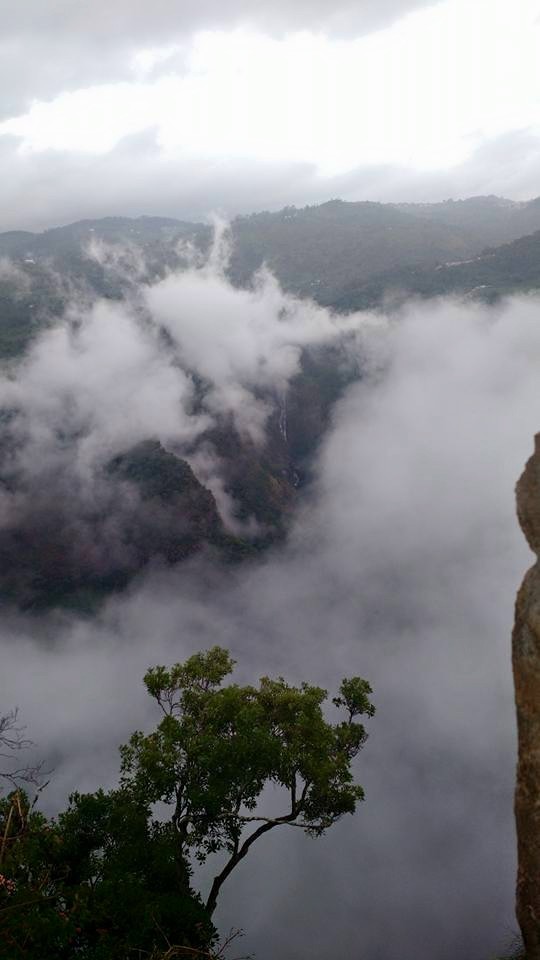 Photo of Romancing the Nilgiris – Southern Sojourn! 10/14 by Arthi