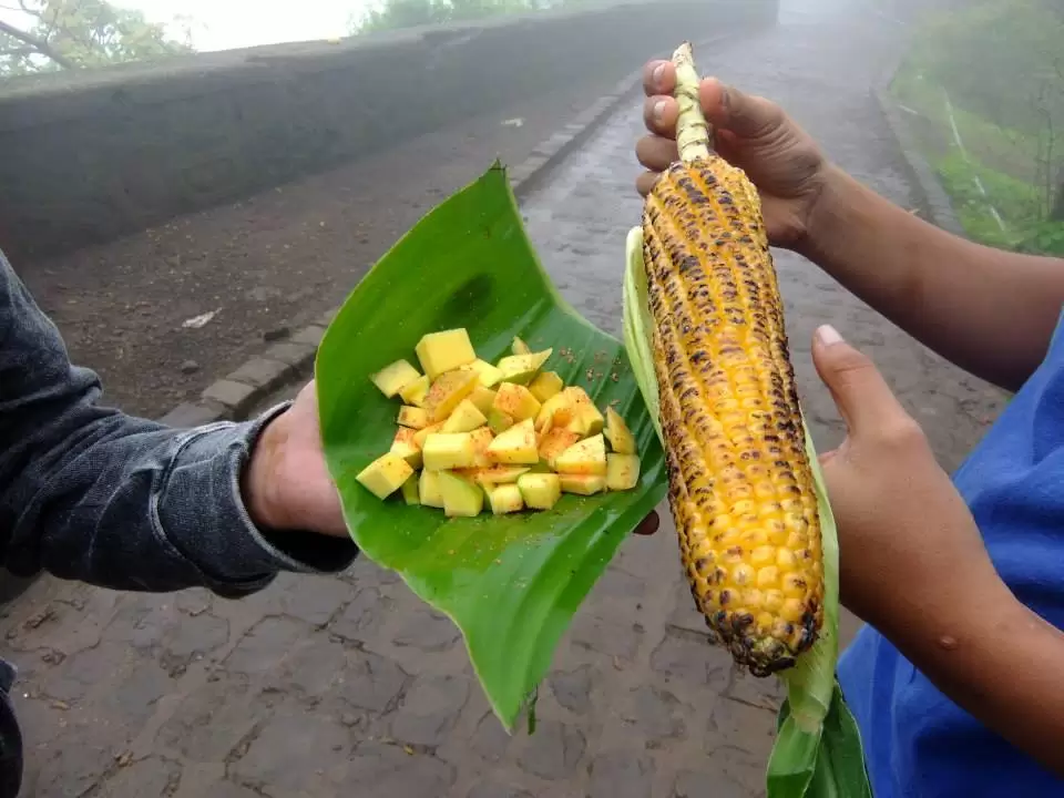 Photo of Sinhagad Fort, Pune, Maharashtra, India by Rucha S Khot