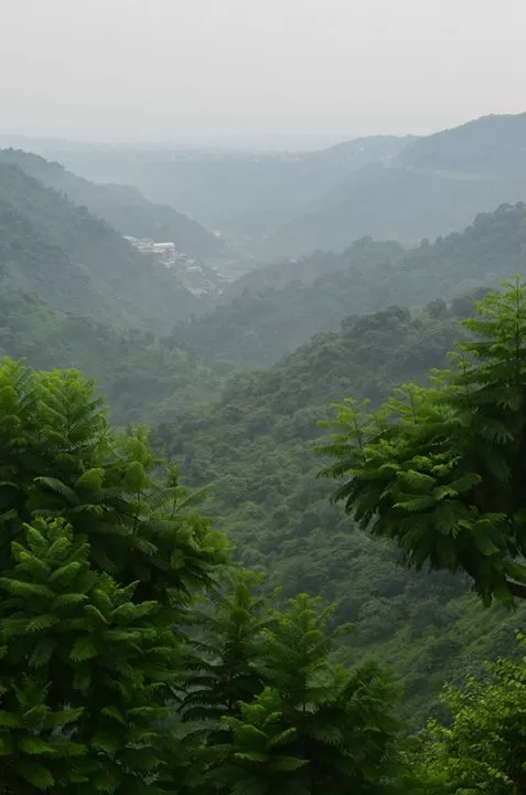 Photo of Shimla, Himachal Pradesh, India by Upasana Venaik