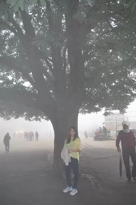 Photo of Shimla, Himachal Pradesh, India by Upasana Venaik