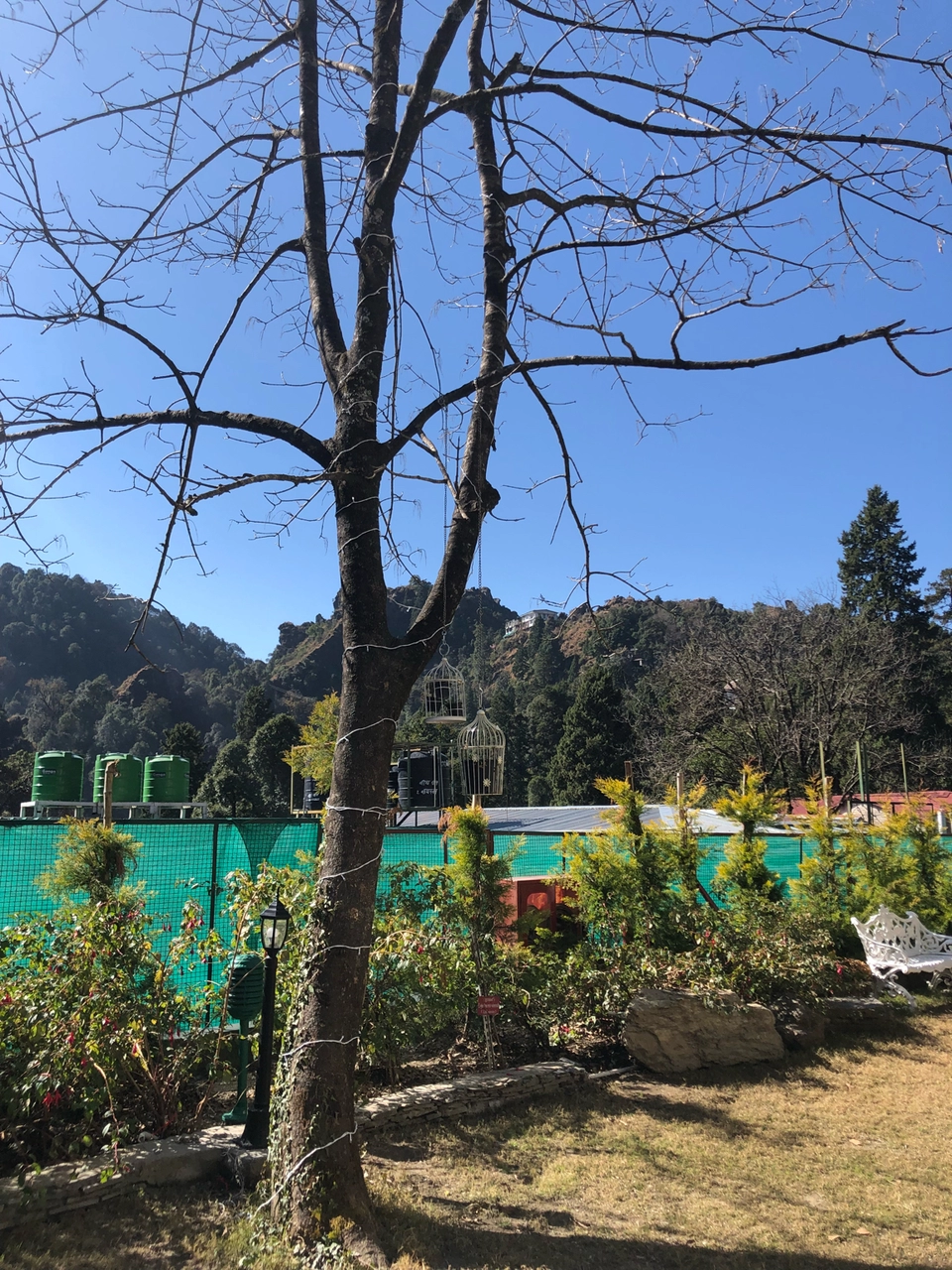 Photo of Road Trip To Nainital (Family Trip) by Gobbling Wanderer