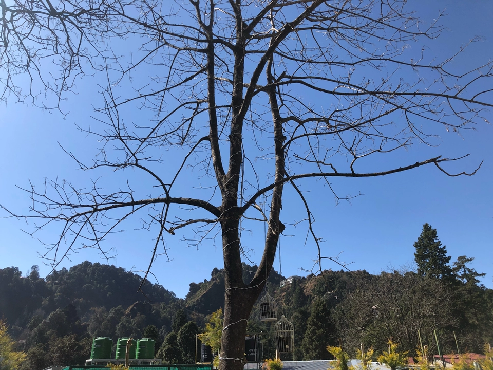 Photo of Road Trip To Nainital (Family Trip) by Gobbling Wanderer