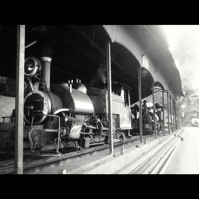 Photo of Taming Darjeeling 2/2 by Anwesha Maiti