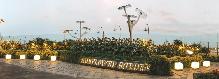 Photo of CHANGI AIRPORT, SINGAPORE 6/8 by AAMNA MISHRA