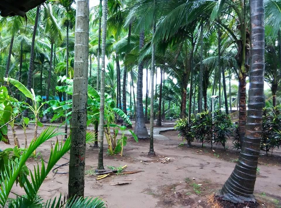 Photo of Bulleteers through Alibag 4/9 by Milind Ghoting