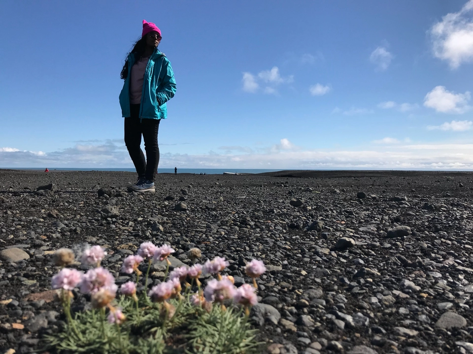 Photo of Vik, Iceland by Shylesh