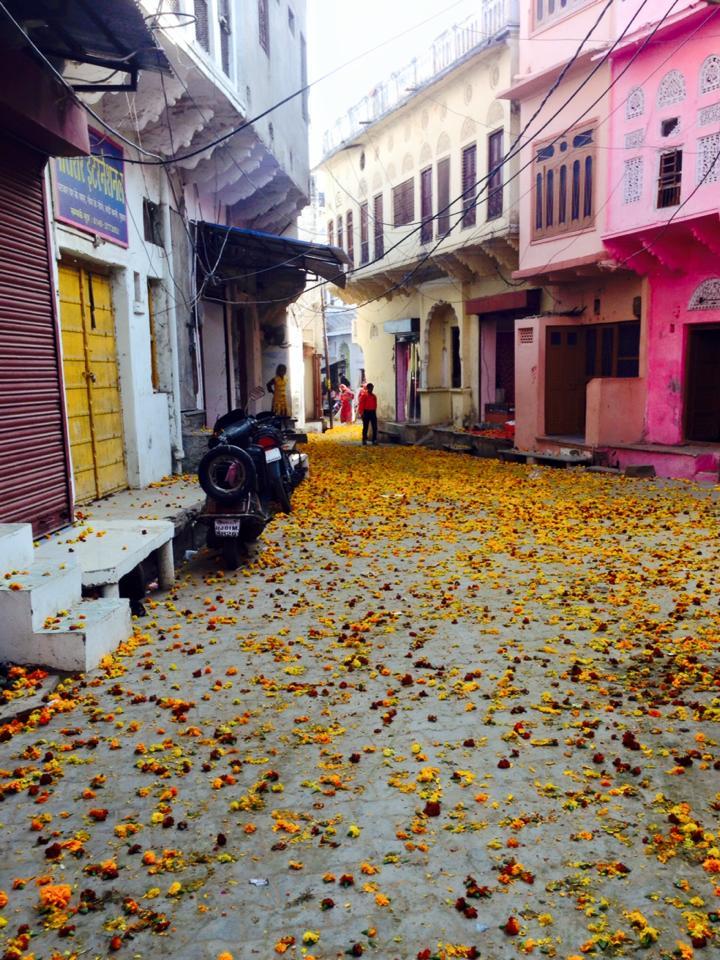 Photo of A little laid-back land: Pushkar 3/13 by Shubham Shukla