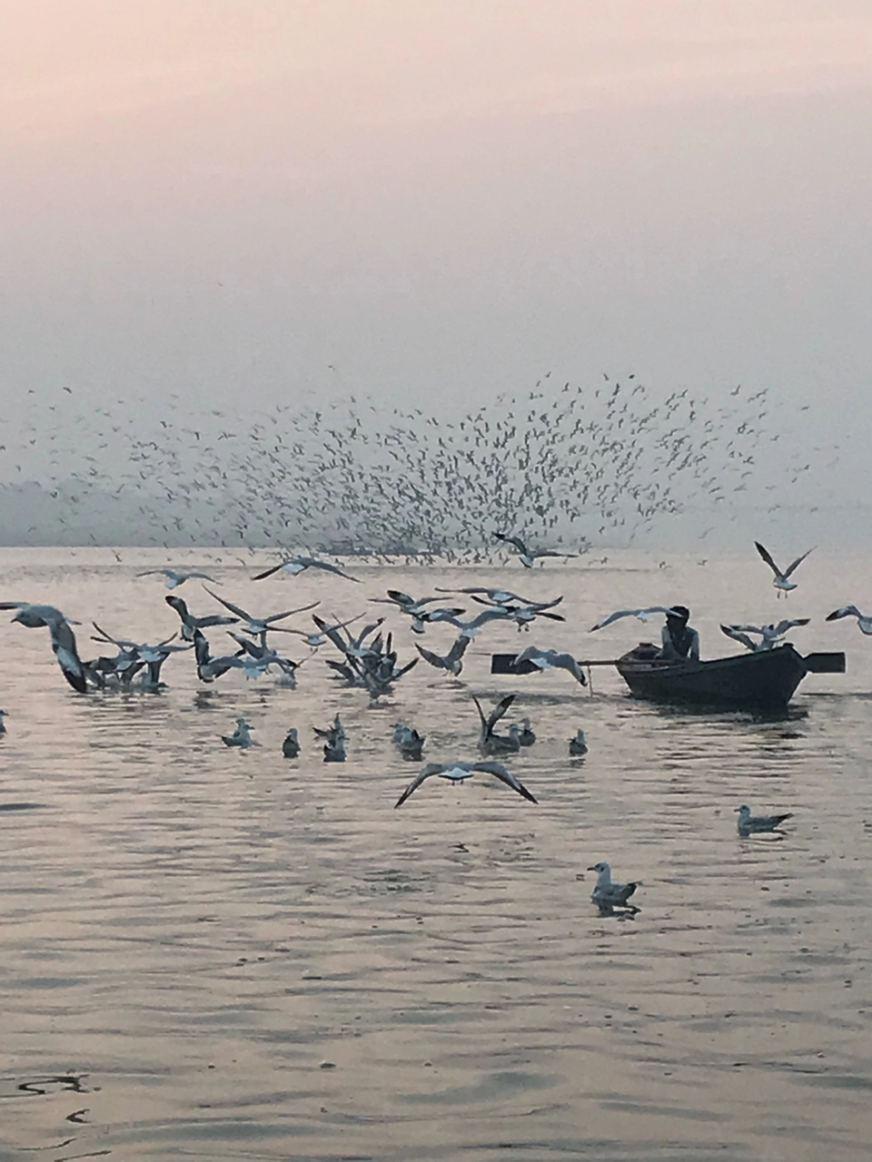 Photo of Kumbh Mela Area I,Allahabad by Geetanjali Mukherjee