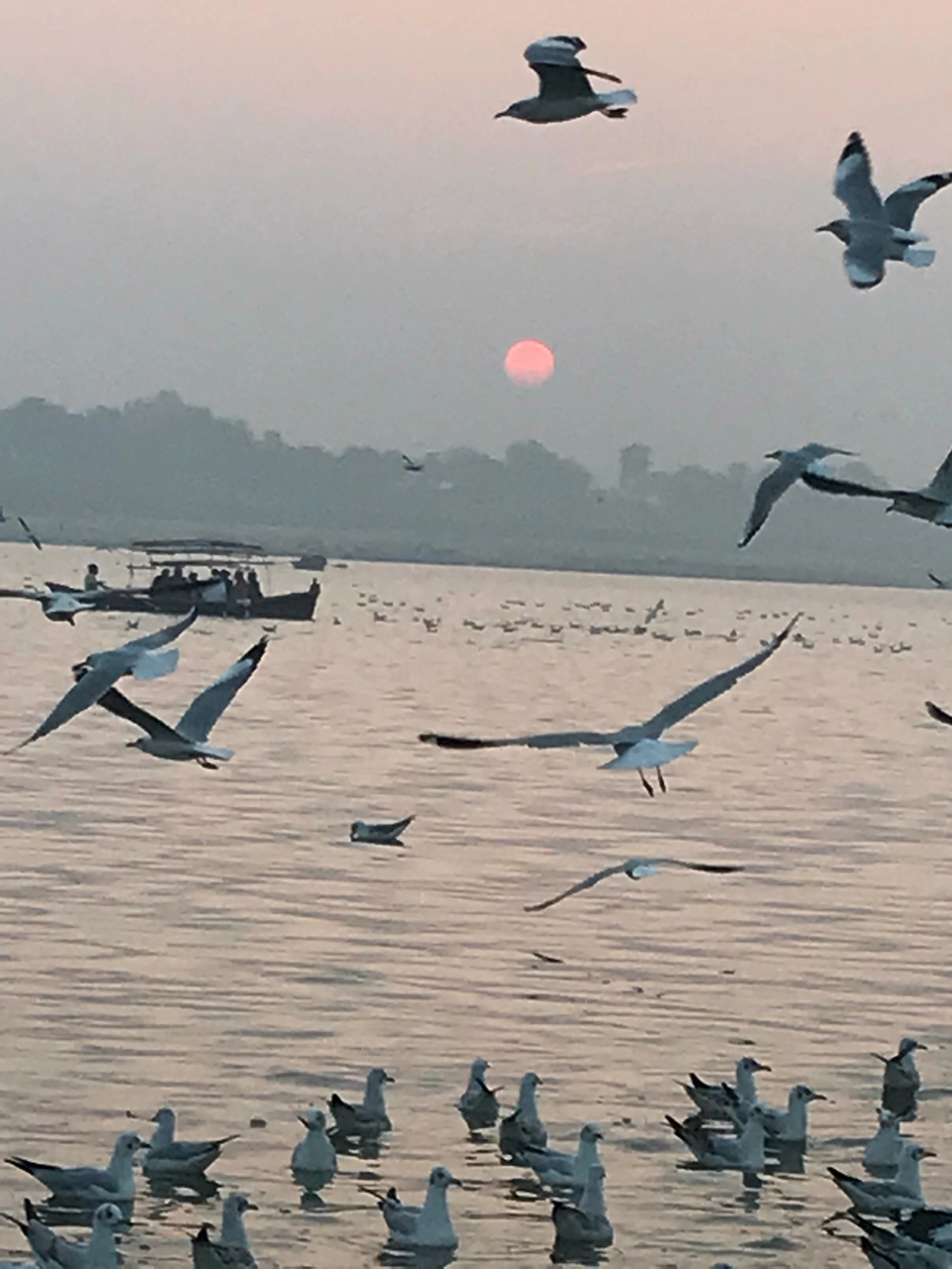Photo of Kumbh Mela Area I,Allahabad by Geetanjali Mukherjee