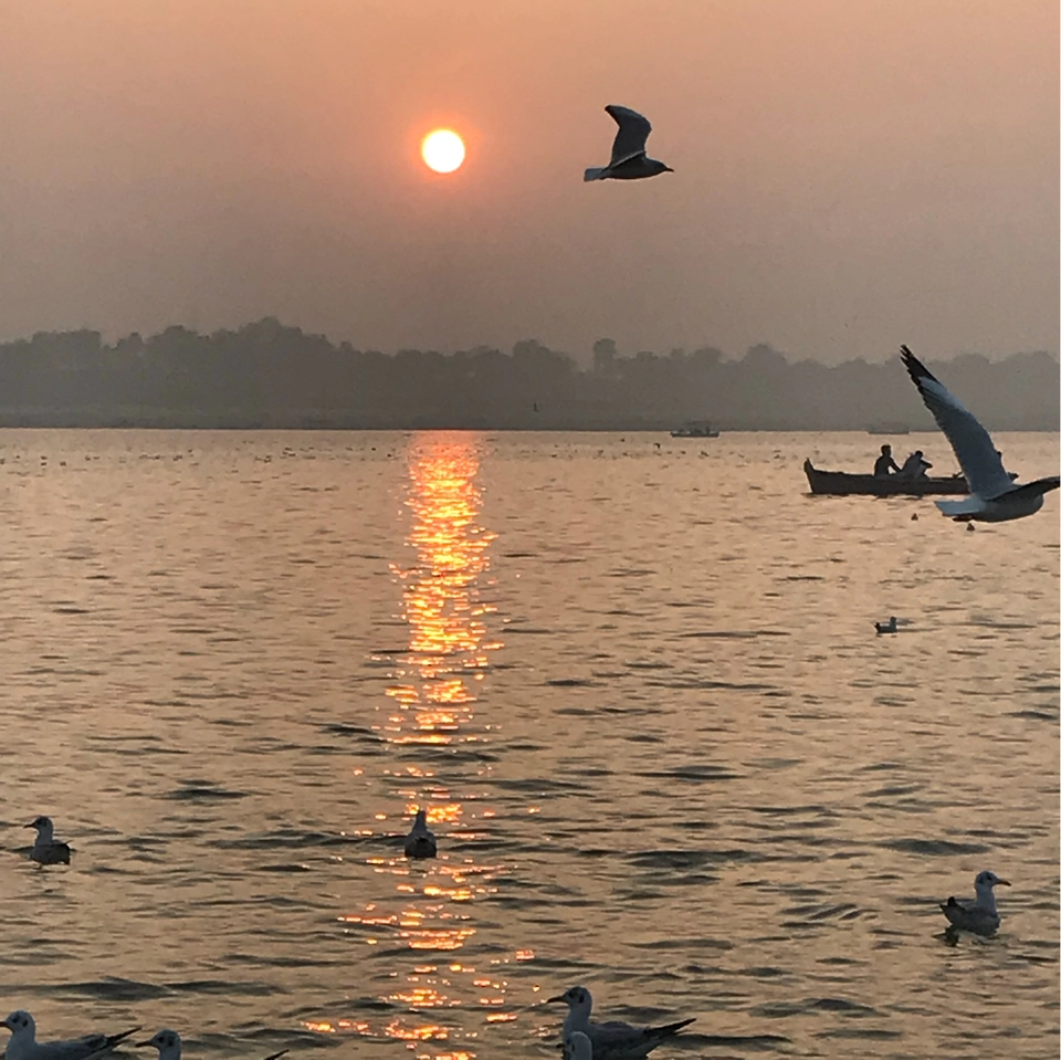 Photo of Kumbh Mela Area I,Allahabad by Geetanjali Mukherjee