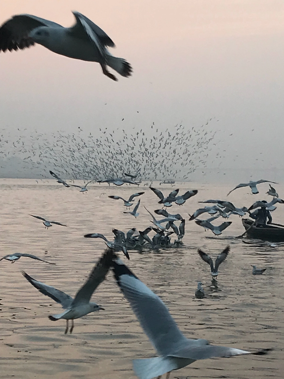 Photo of Kumbh Mela Area I,Allahabad by Geetanjali Mukherjee
