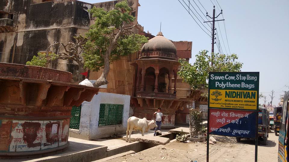 Photo of Mathura Vrindavan Tour :Trip to Shri Krishna's in a Day 7/18 by Geetanjali Mukherjee