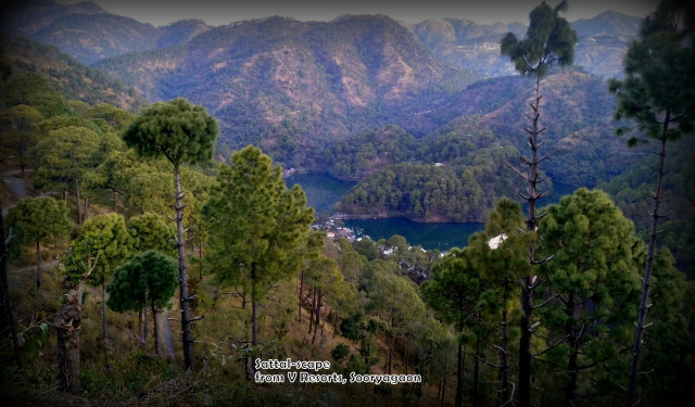 Photo of For a true Himalayan birding experience : Sattal 2/22 by Dhrubajyoti Das