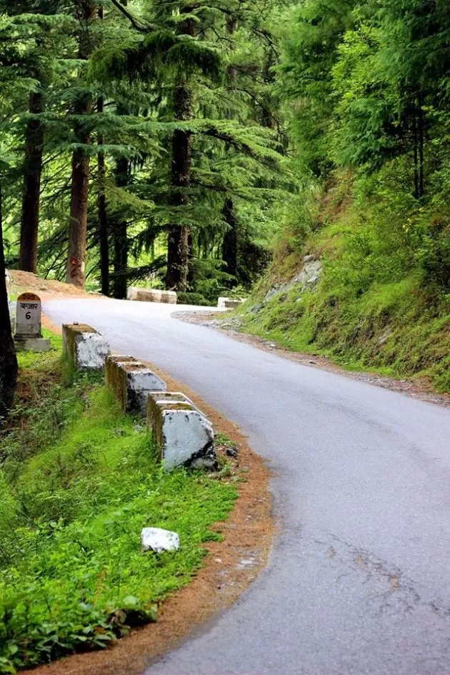 Photo of Taking it slow - Life in Jibhi #himachalpradesh by Sonali