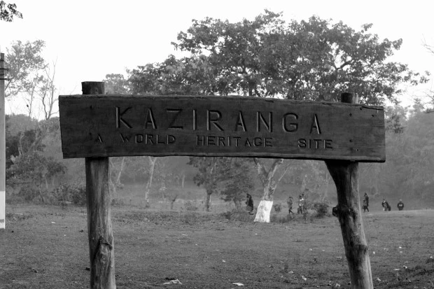Photo of Kaziranga National Park, Kanchanjuri, Assam, India by Sonali 