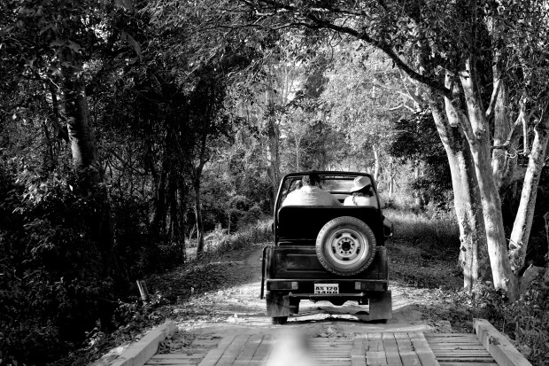 Photo of Kaziranga National Park, Kanchanjuri, Assam, India by Sonali 
