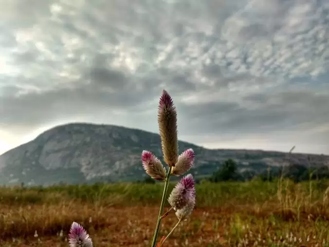 Photo of Nandanaganahalli, Karnataka, India by Gowtham Kumar Injamuri