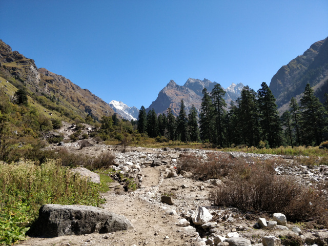 Photo of Day 3 - Kalkatiyadhar to Har ki Dun 1/4 by Vishal Sinha
