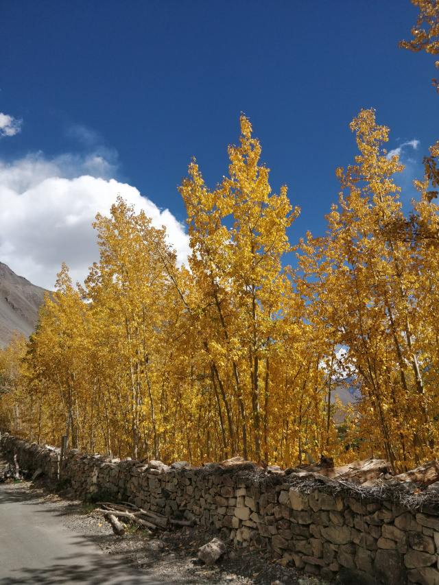 Photo of Day 6 - Kaza to Chitkul 6/8 by Vishal Sinha