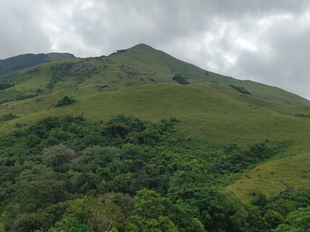 Photo of Kumara Parvata Trek 11/31 by Vishal Sinha