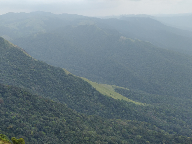 Photo of Kumara Parvata Trek 16/31 by Vishal Sinha