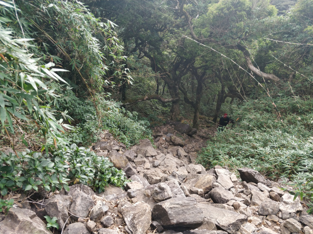Photo of Kumara Parvata Trek 19/31 by Vishal Sinha