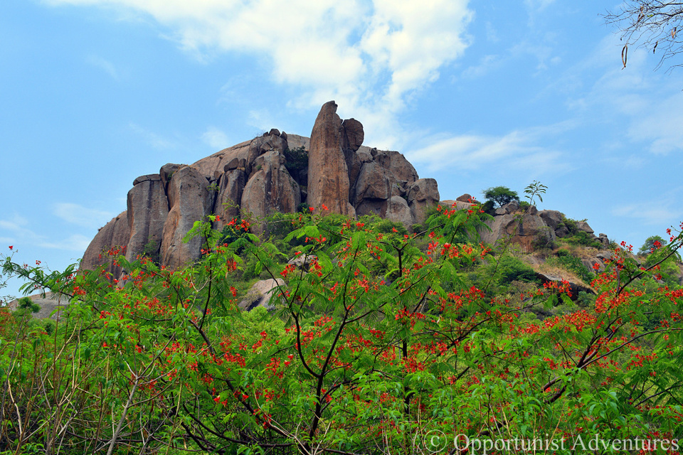 Photo of Ramdevara Hills (Sholay) 6/9 by Dolly