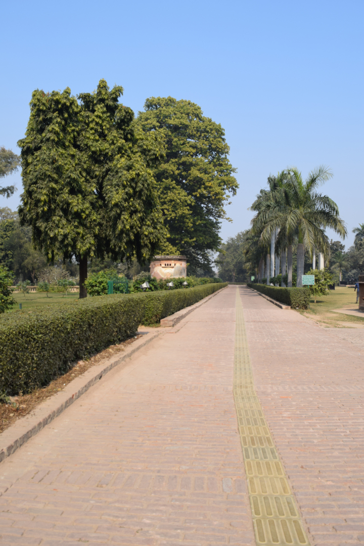 Photo of Lucknow Travelogue : Day 2: 19/1/2019 10/16 by Vinita Sanghi