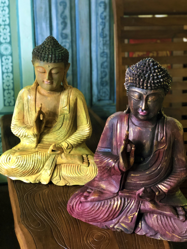 Photo of The Sri Lankan Holiday by Priyansha Vashi