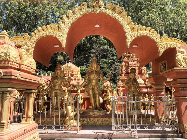 Photo of The Sri Lankan Holiday 4/15 by Priyansha Vashi