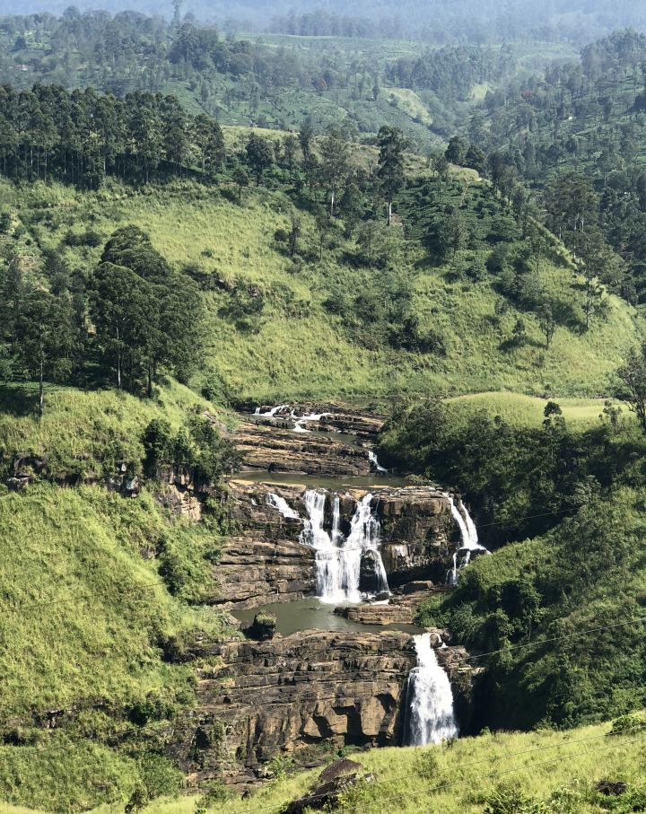 Photo of The Sri Lankan Holiday 7/15 by Priyansha Vashi