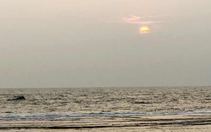 Photo of The Sri Lankan Holiday 8/15 by Priyansha Vashi