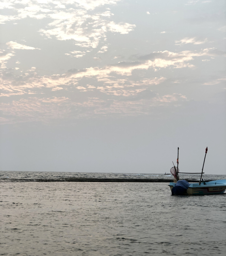 Photo of The Sri Lankan Holiday 9/15 by Priyansha Vashi