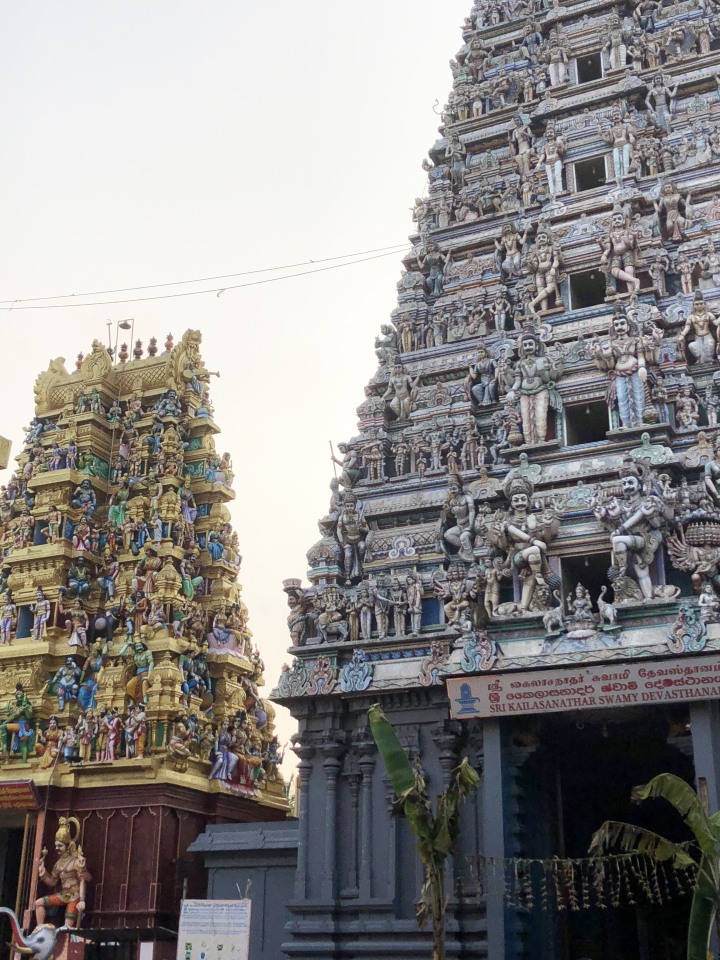 Photo of The Sri Lankan Holiday 10/15 by Priyansha Vashi