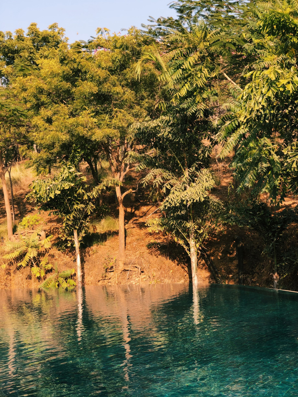 Photo of Ananta Udaipur Luxury Resort & Spa 2/13 by Priyansha Vashi
