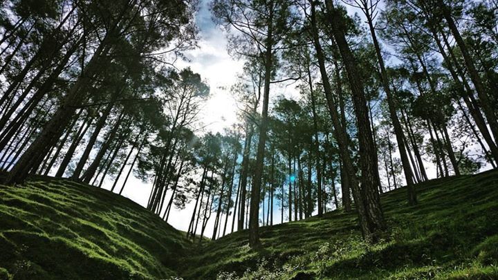 Photo of The land of God - Uttarakhand by Hansa Jeswani