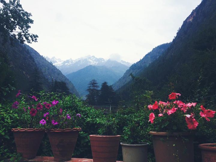 Photo of 7 days of Himachal high! 6/39 by Tanya Yadav