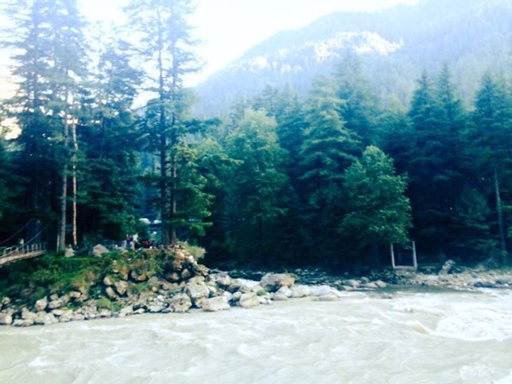 Photo of 7 days of Himachal high! 4/39 by Tanya Yadav