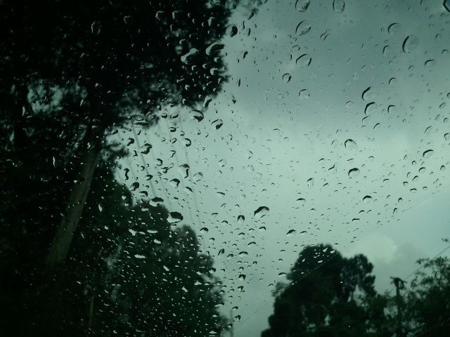 Photo of Escape for a day to Queen of Hills: Ooty by Anu Shobana